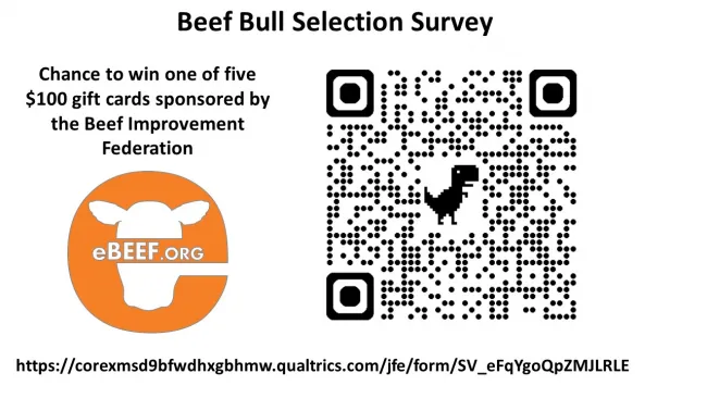 Beef Bull Selection Survey
